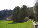 Stublang (16)
